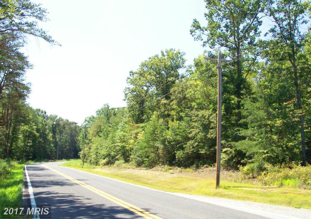 Ripley Road - Photo 1