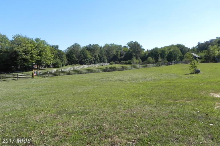 Josie Place - Photo 1