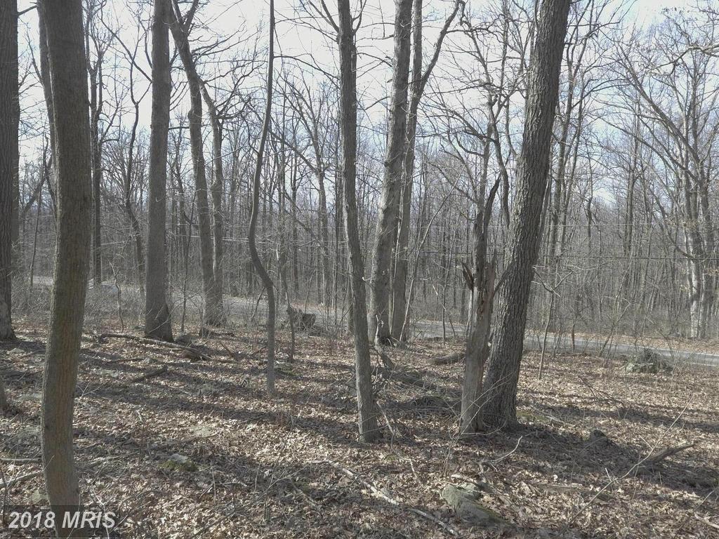 0 Blue Ridge Mountain - Photo 1