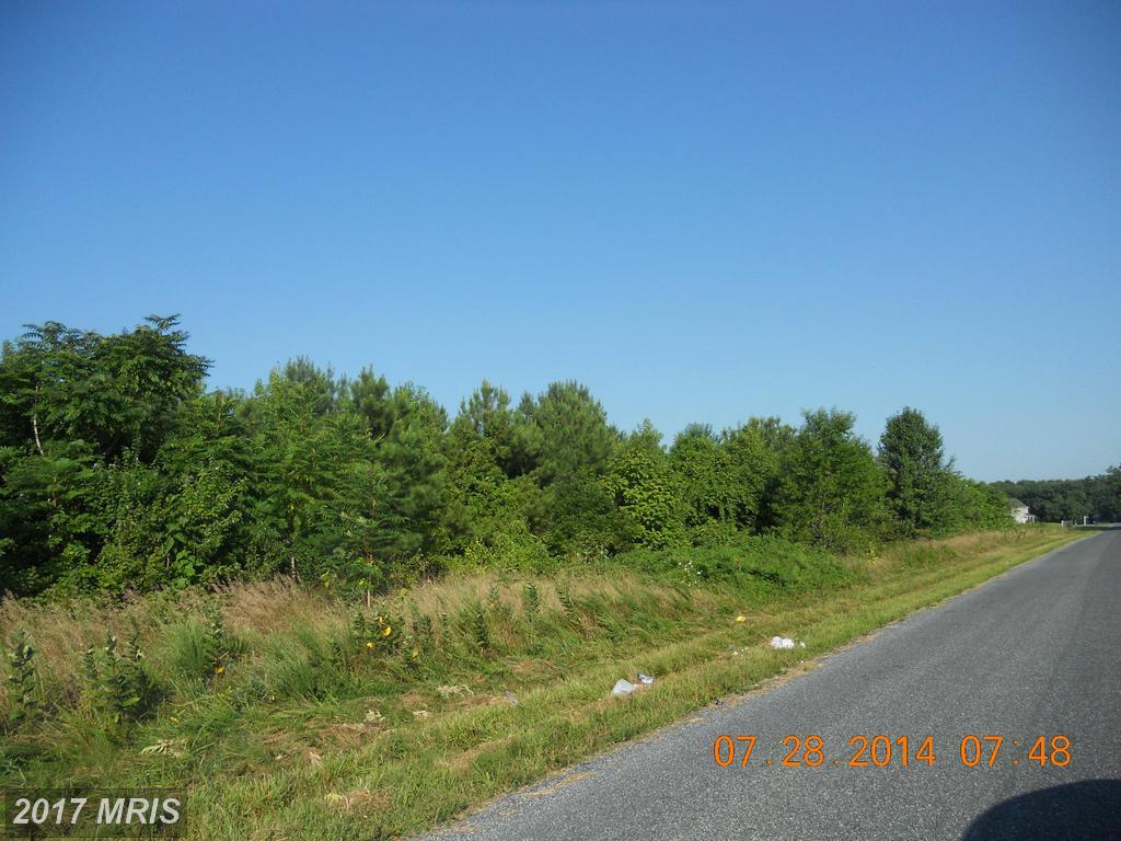 Houston Branch Road - Photo 1