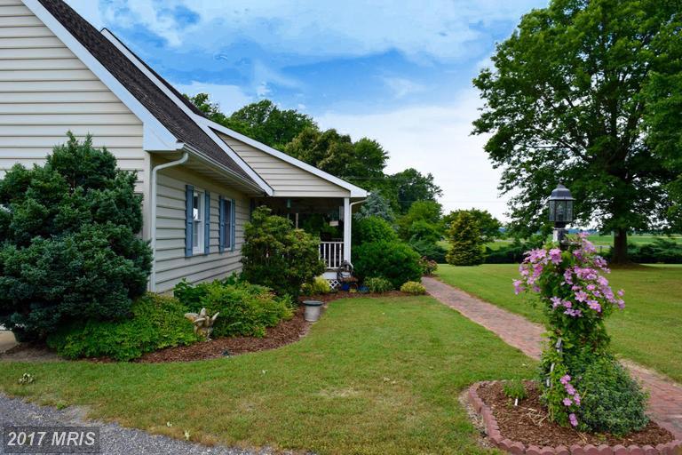 6098 Bell Creek Road - Photo 1