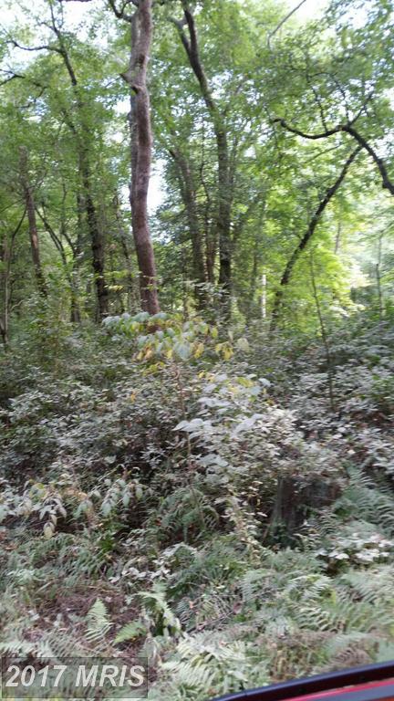 Trunk Line Road - Photo 1