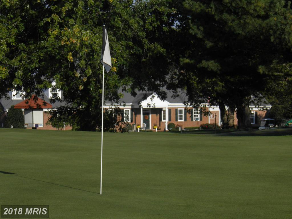 24820 Pealiquor Road - Photo 1