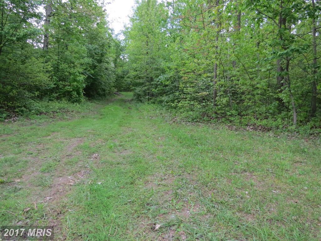 Warehime Road - Photo 1