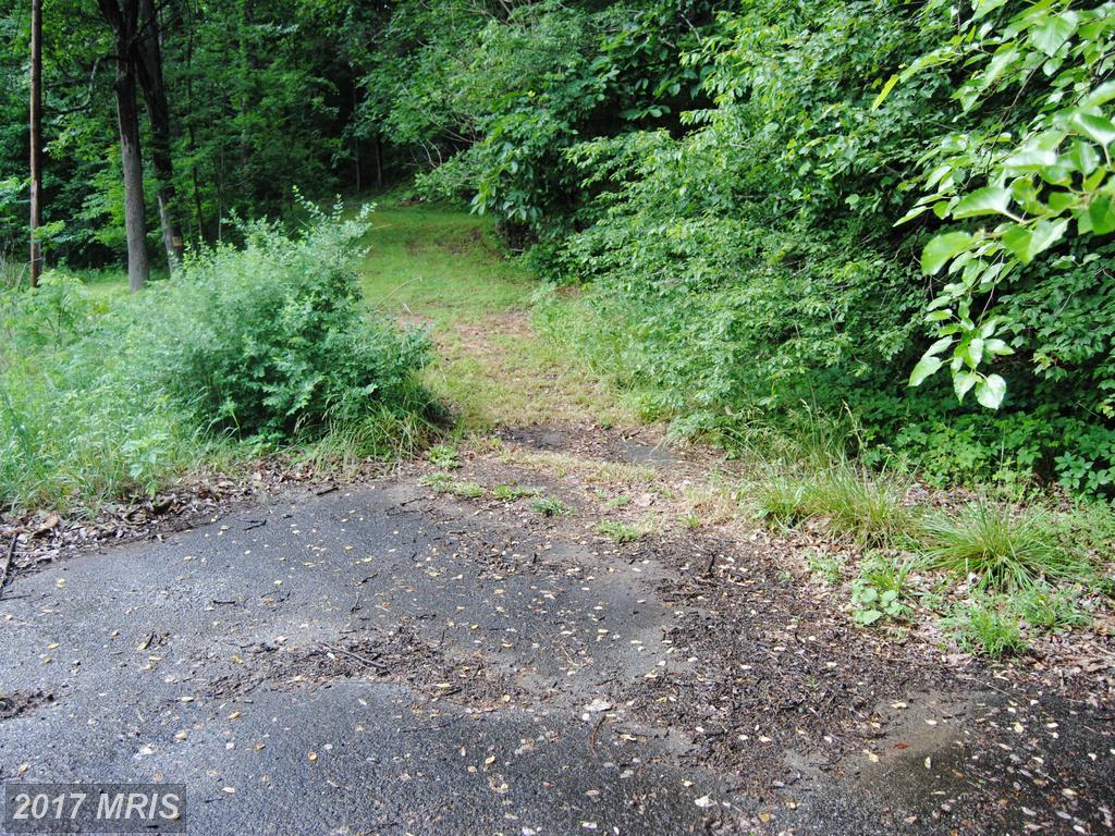 Deep Run Road - Photo 1