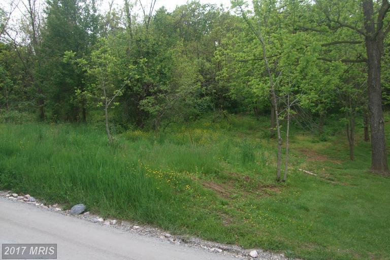 Pinch Valley Road - Photo 1