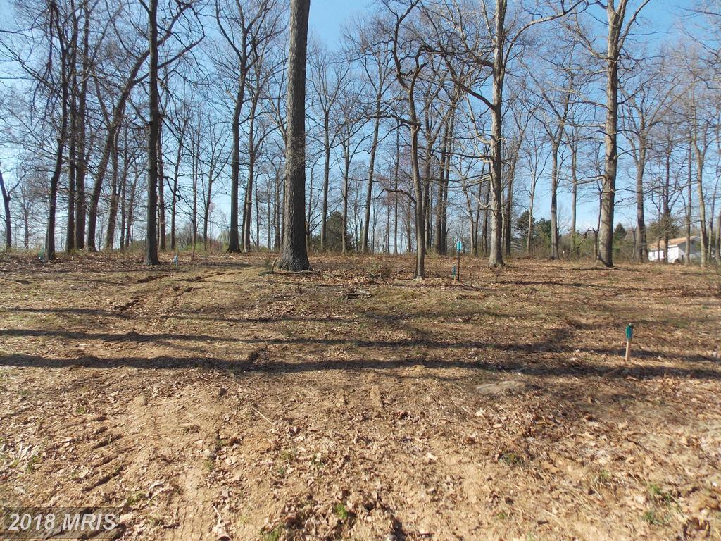 Lot # 15 Vaughns Meadow Drive - Photo 1
