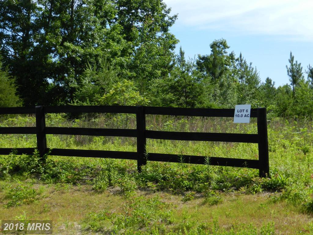 Trotting Trail - Photo 1