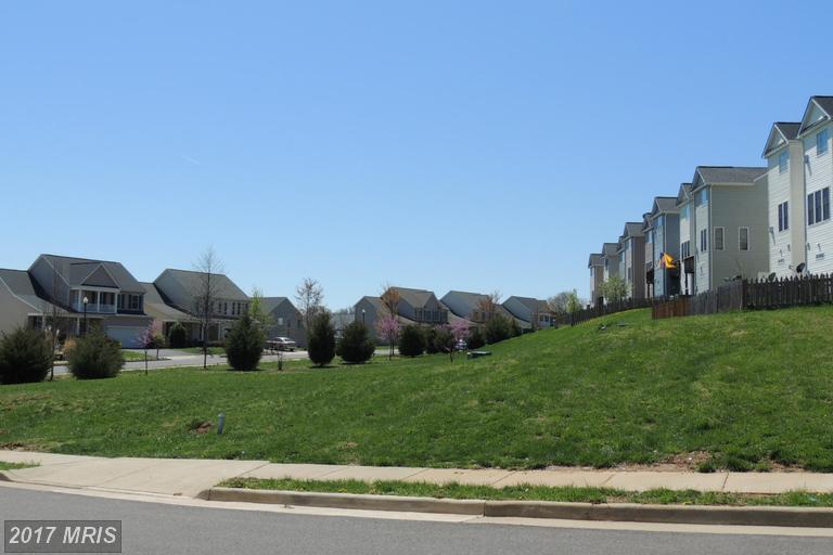 Dove Lane - Photo 1