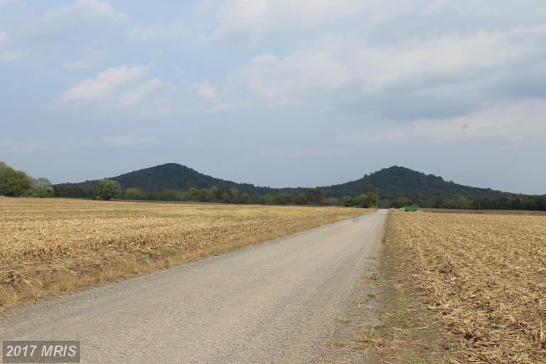 Twin Mountain Road - Photo 1