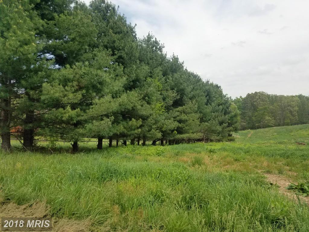 Mountain Run Lake Road - Photo 1