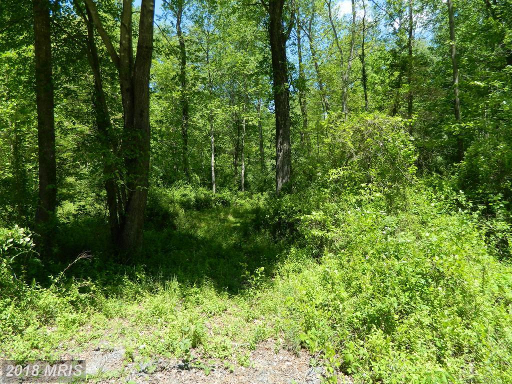 Deerfield Lane - Photo 1