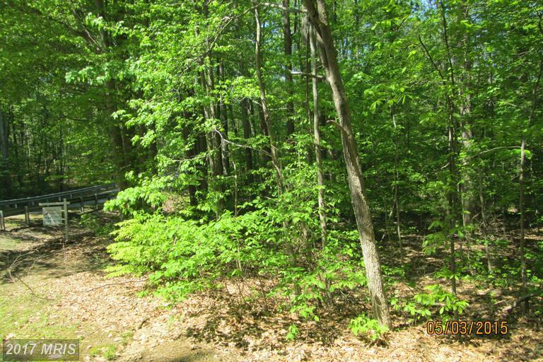 601 Mill Pond Drive - Photo 1