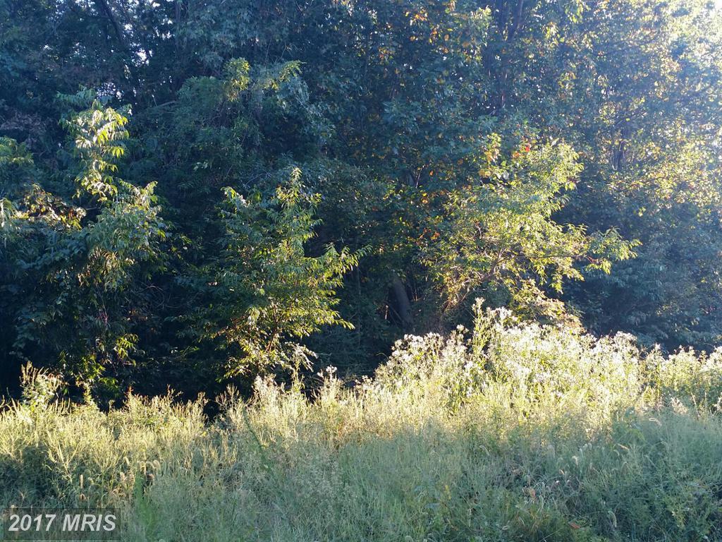 0 Cannery Road - Photo 1