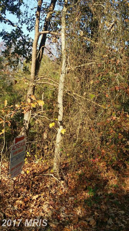0 Gregory Road - Photo 1