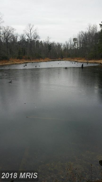 0 Paige Road - Photo 1