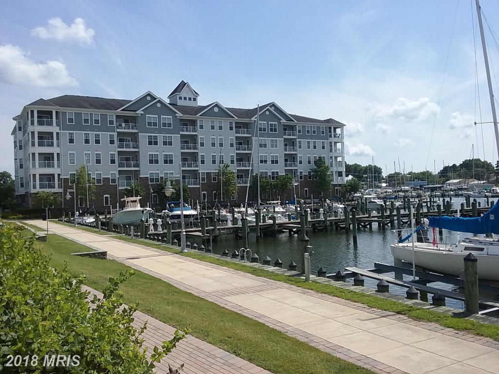 900 Marshy Cove - Photo 1