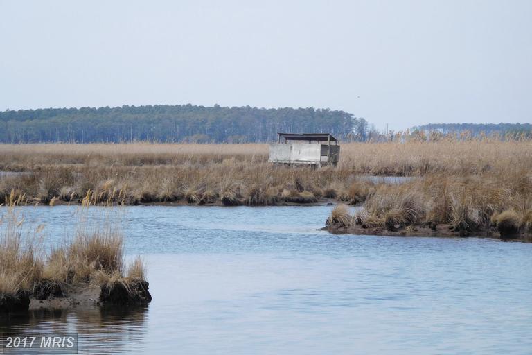 Farm Creek Road - Photo 1
