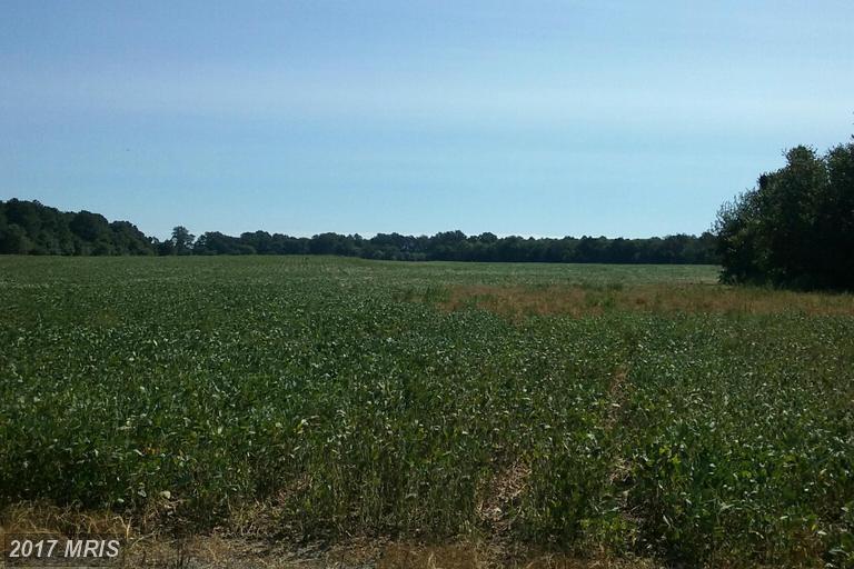 6703 Bailey Store Road - Photo 1