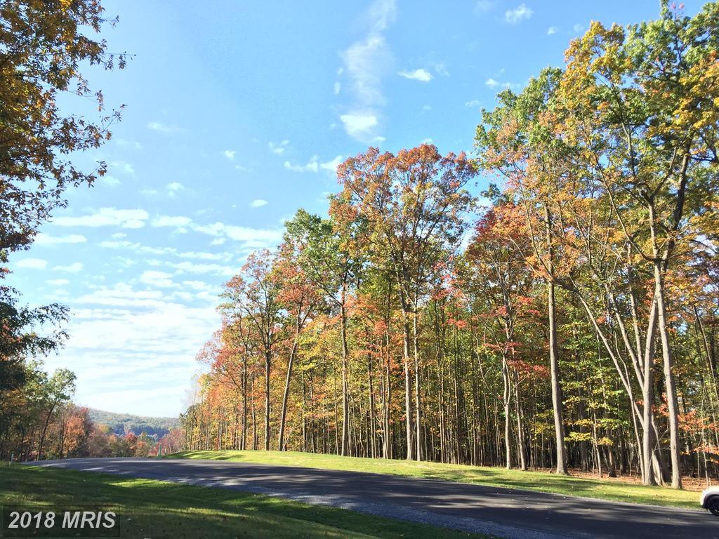 White Oak - Photo 1