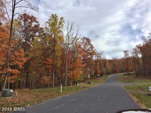 Longwood - Photo 1