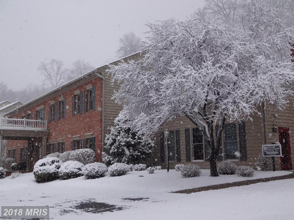 14201 Barberry Circle - Photo 1