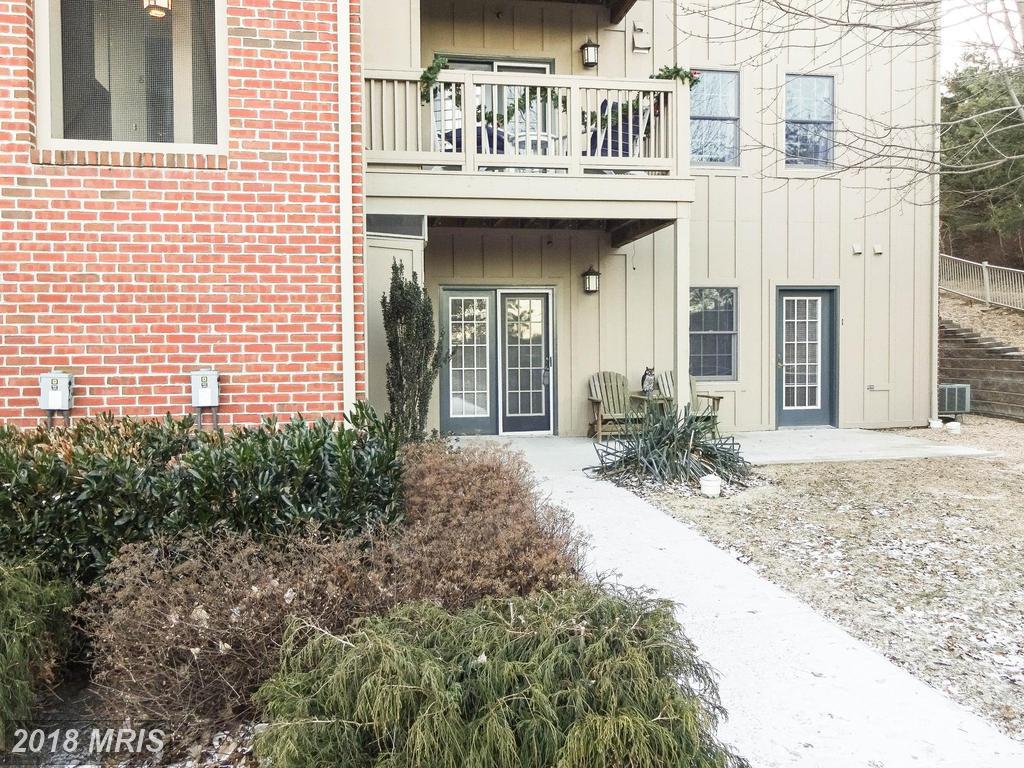 14175 Northern Light Drive - Photo 1