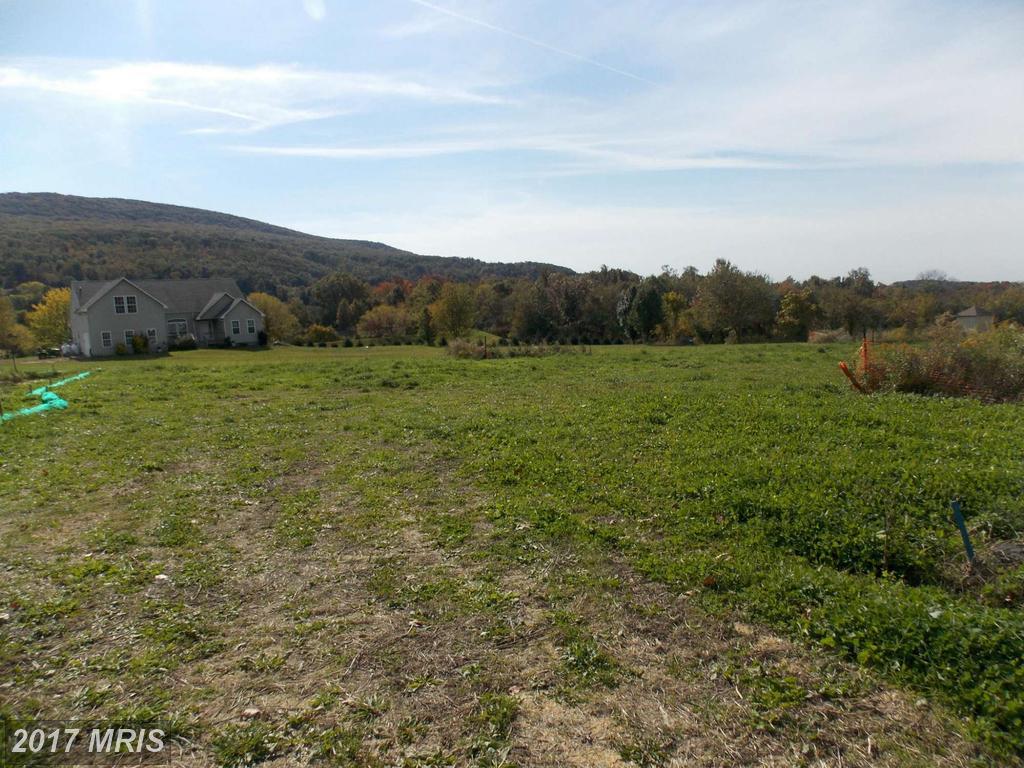 12468 Old Pen Mar Road - Photo 1