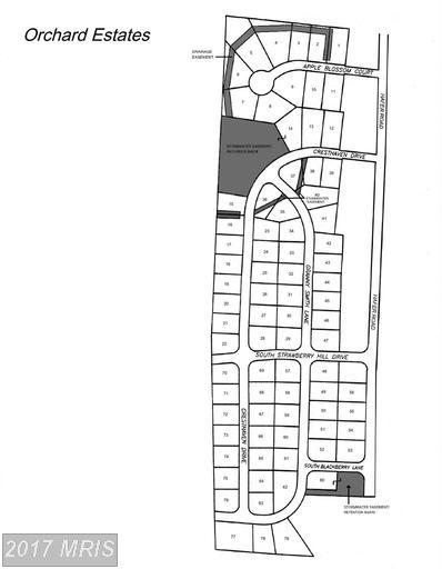 178 Granny Smith Lane - Photo 1
