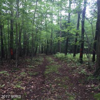 Black Gap Road - Photo 1