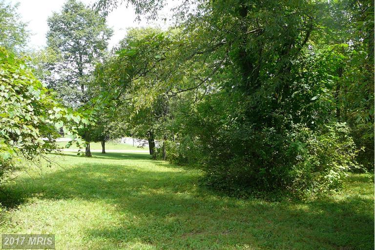 LOT 1 Knob Road - Photo 1