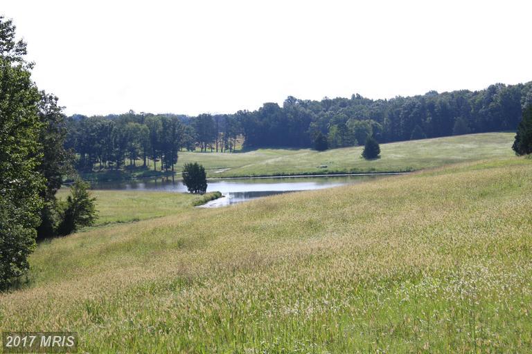 Haden Martin Road - Photo 1