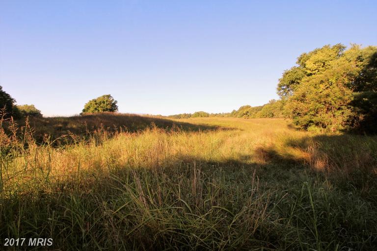 7592 Wilson Road - Photo 1