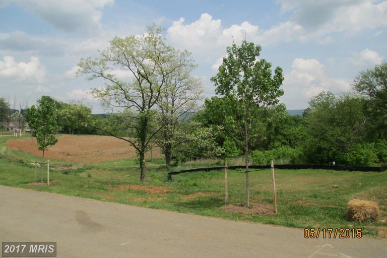 10510 Baltimore National Pike - Photo 1