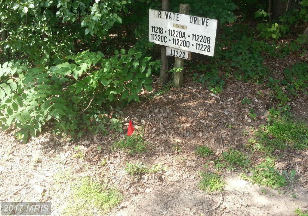 11220C Putman Road - Photo 1