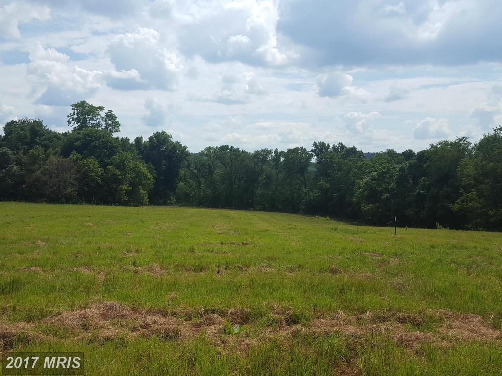 7830 Timmons Road - Photo 1