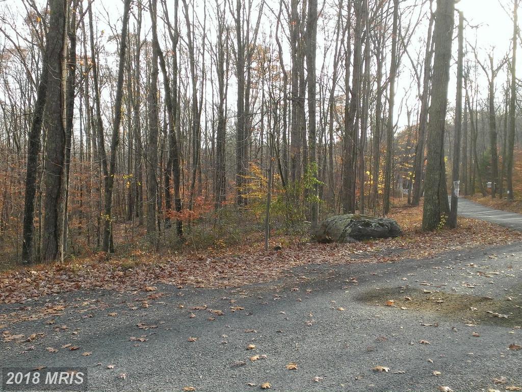 Loy Wolfe Road - Photo 1