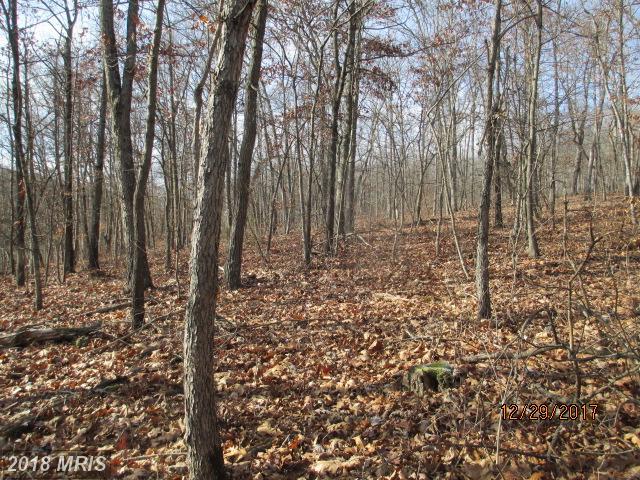 LOT 1 Northwestern Pike - Photo 1