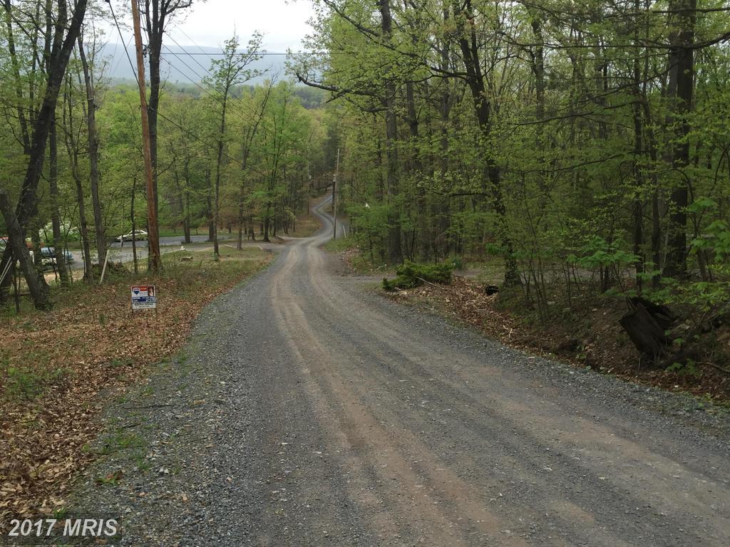 284 Iris Lane - Photo 1
