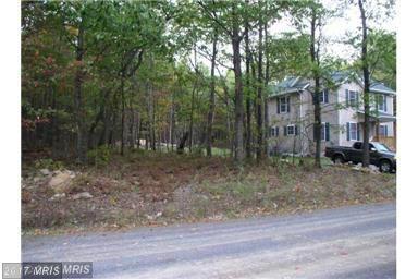 Pheasant Drive - Photo 1