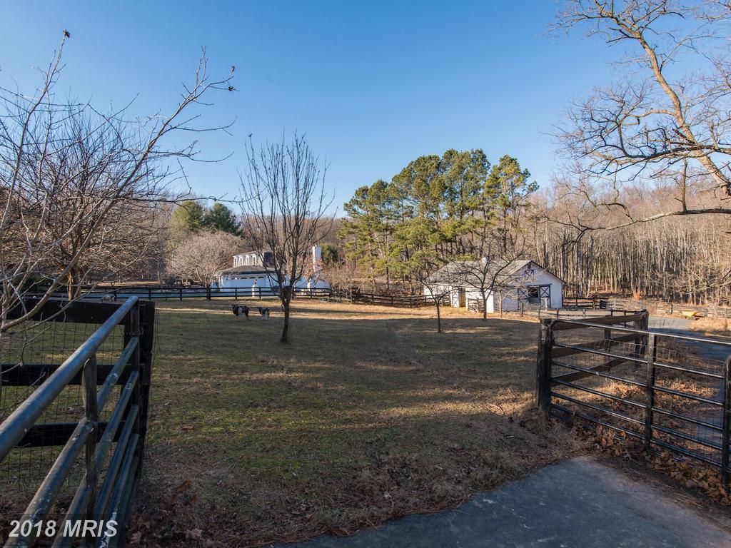 10920 Beckman Way - Photo 1