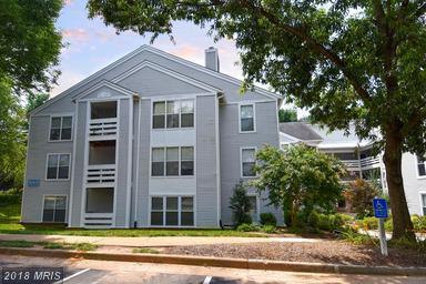 10303 Appalachian Circle - Photo 1