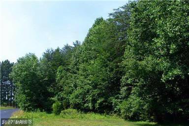 11920 Henderson Road - Photo 1