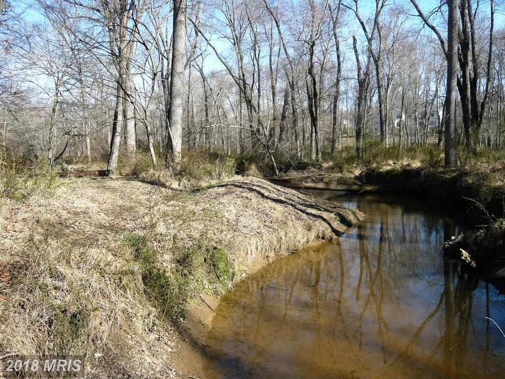 9710 Fringe Tree Road - Photo 1