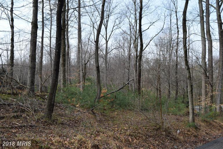 895 Georgetown Ridge Court - Photo 1