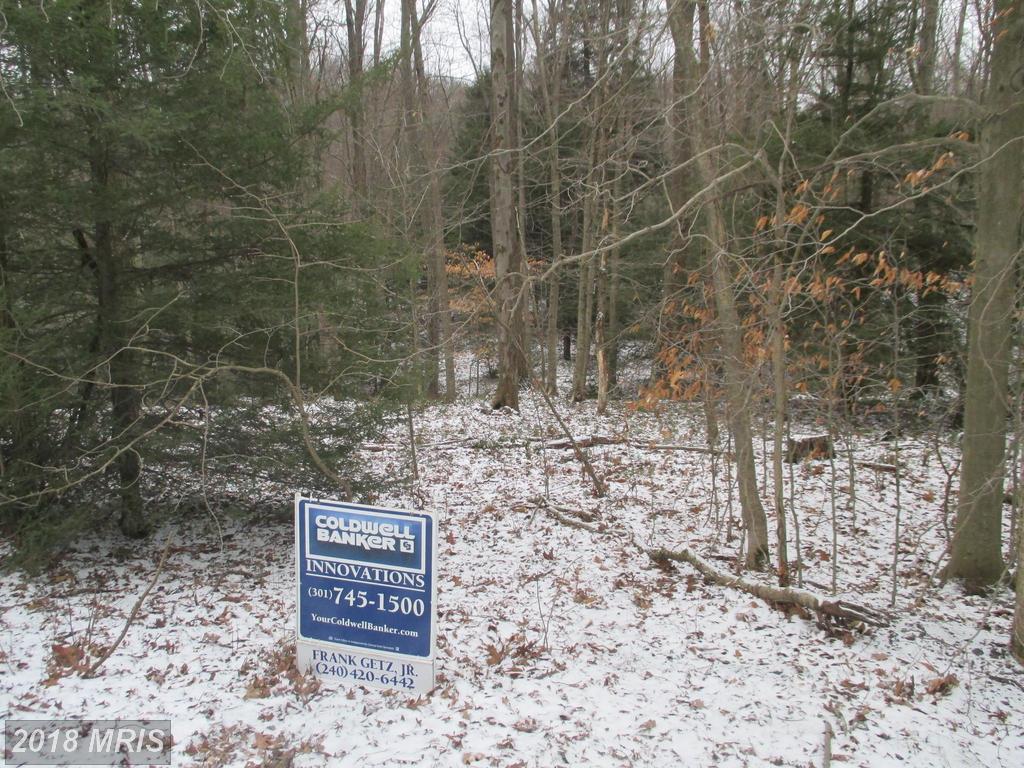 Hemlock Road Lot #38 - Photo 1