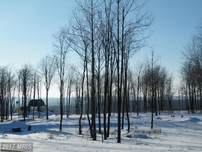 LOT 15 Upper Camp Road - Photo 1