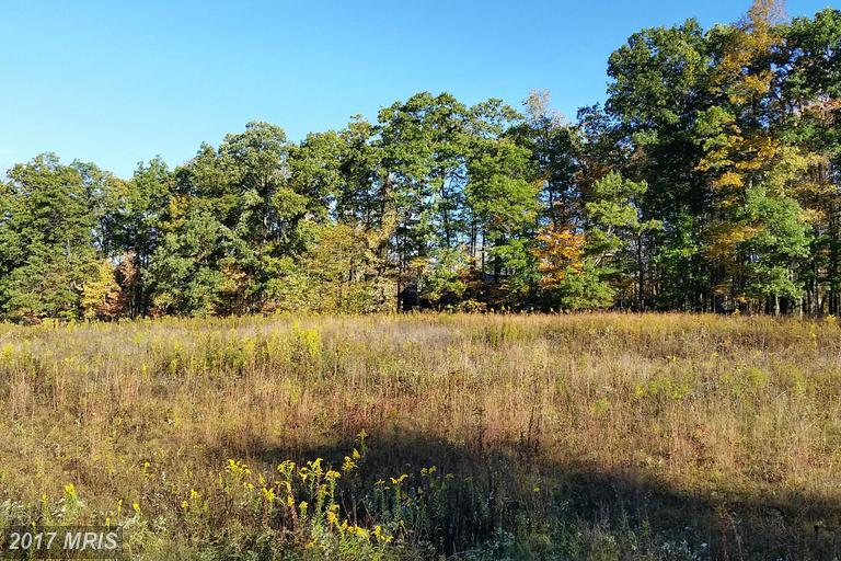LOT 3 Fantasy Lane - Photo 1