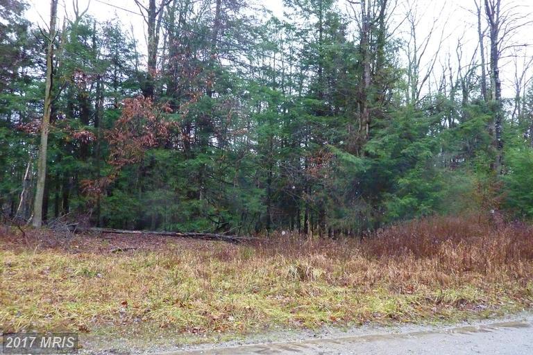 7-LOT Deer Run Road - Photo 1