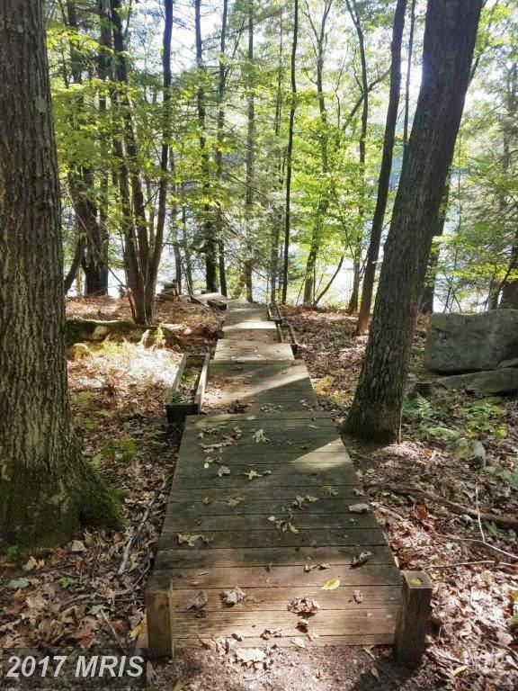 LOT 8 Marsh Hill Road - Photo 1